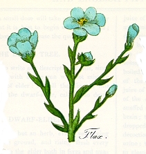 Flax Flax Flax Flax Flax Flax Flax Flax